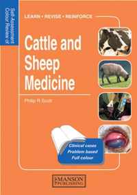 Cattle and Sheep Medicine