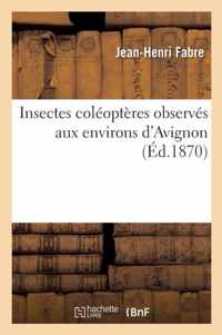 Insectes Coleopteres Observes Aux Environs d'Avignon