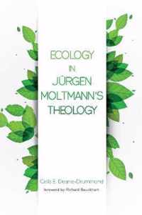 Ecology in Jurgen Moltmann's Theology