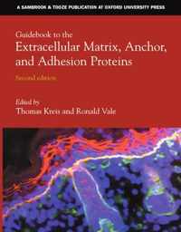 Guidebook to the Extracellular Matrix, Anchor, and Adhesion Proteins