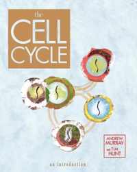 The Cell Cycle