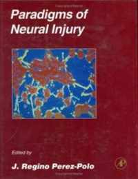 Paradigms of Neural Injury