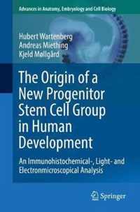 The Origin of a New Progenitor Stem Cell Group in Human Development