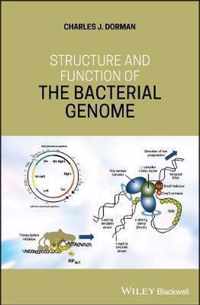 Structure and Function of the Bacterial Genome