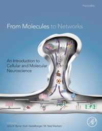 From Molecules to Networks