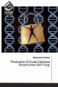 Production of Crude Cellulase Enzyme from Soil Fungi