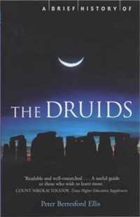 A Brief History of the Druids