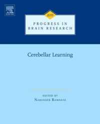 Cerebellar Learning