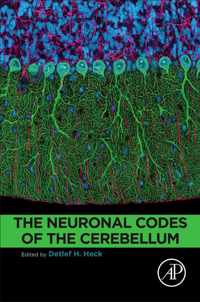 The Neuronal Codes of the Cerebellum