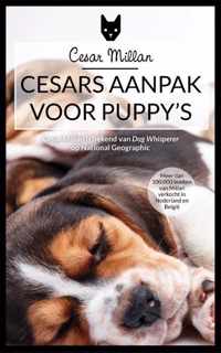 Cesars aanpak voor puppy's