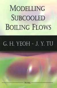 Modelling Subcooled Boiling Flows