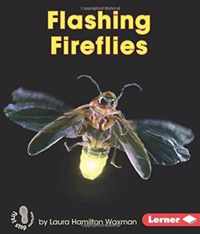 Flashing Fireflies