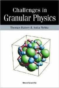 Challenges In Granular Physics