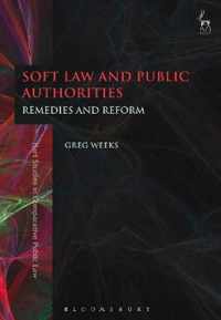 Soft Law and Public Authorities