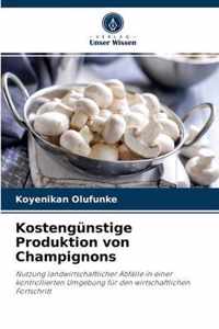 Kostengunstige Produktion von Champignons