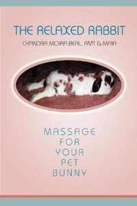 Relaxed RabbitMassage For Your Pet Bunny