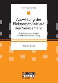 Auswirkung der Elektromobilitat auf den Servicemarkt. Branchenstrukturanalyse und Musterkostenrechnung