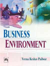 Business Environment