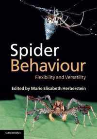 Spider Behaviour