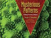 Mysterious Patterns: Finding Fractals in Nature