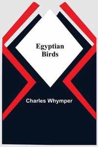 Egyptian Birds