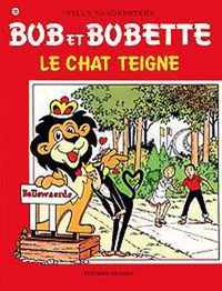 Chat teigne