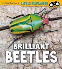 Brilliant Beetles