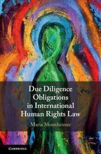 Due Diligence Obligations in International Human Rights Law