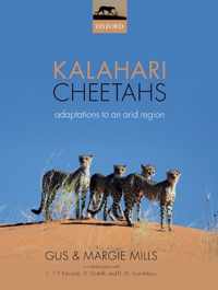 Kalahari Cheetahs