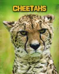 Cheetahs