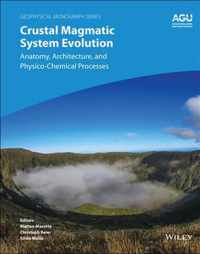 Crustal Magmatic System Evolution - Anatomy, Architecture, and Physico-Chemical Processes