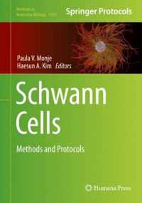 Schwann Cells