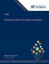 Chemically Derived Ceramic Composites