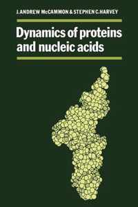 Dynamics of Proteins and Nucleic Acids