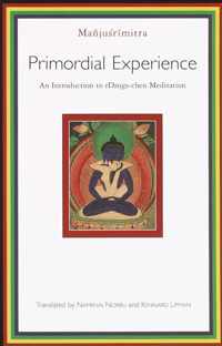 Primordial Experience