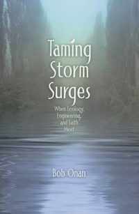 Taming Storm Surges