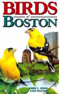 Birds of Boston