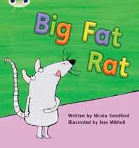 Bug Club Phonics Fiction Reception Phase 2 Set 05 Big Fat Rat