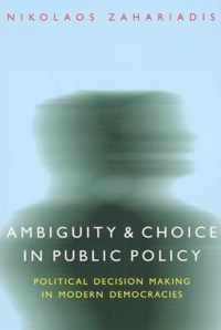 Ambiguity and Choice in Public Policy