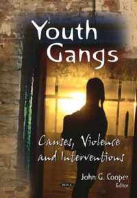 Youth Gangs