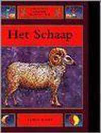 CHINESE HOROSCOOP SCHAAP