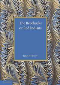 The Beothucks or Red Indians