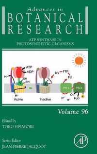 ATP Synthase in Photosynthetic Organisms