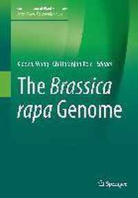 The Brassica rapa Genome