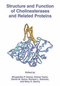 Structure and Function of Cholinesterases and Related Proteins