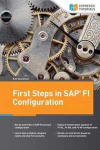 First Steps in SAP FI Configuration