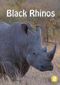 Black Rhinos