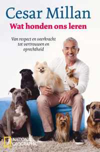 Wat honden ons leren