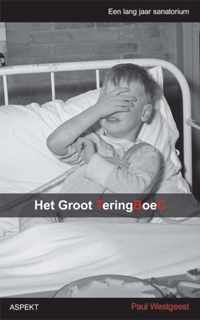 Het groot Teringboec