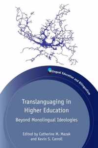 Translanguaging in Higher Education